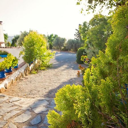 Cuevas De Rolando Guest House Guadix Exterior photo