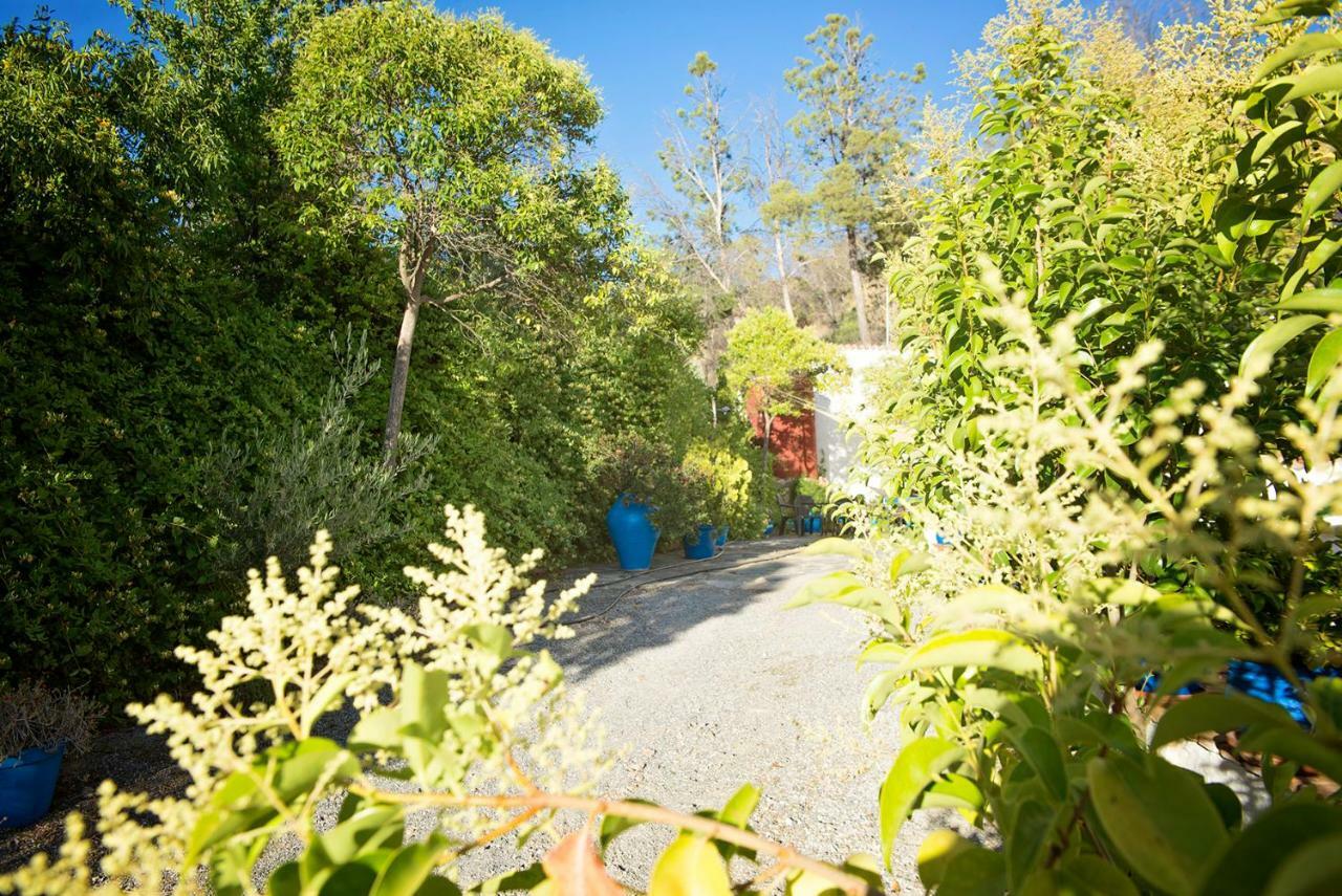 Cuevas De Rolando Guest House Guadix Exterior photo