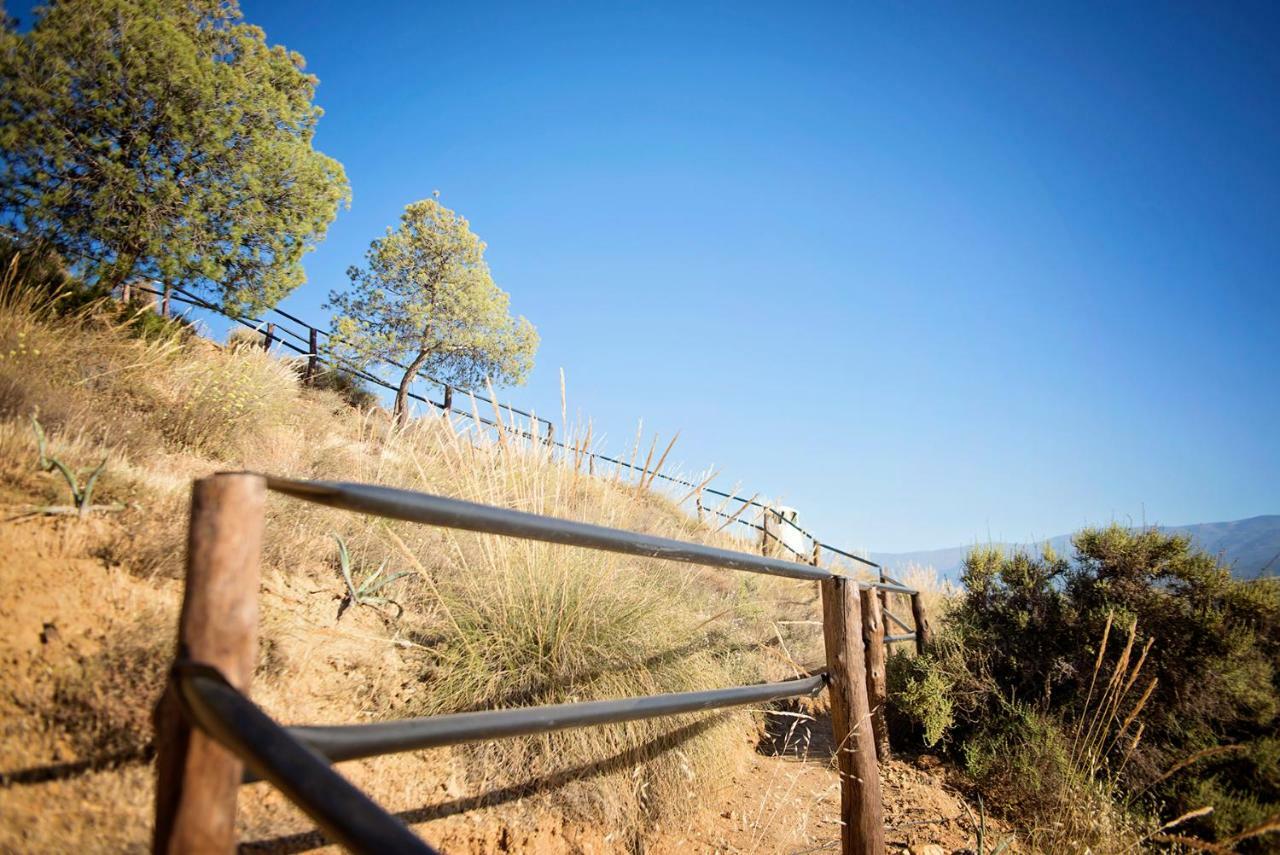 Cuevas De Rolando Guest House Guadix Exterior photo
